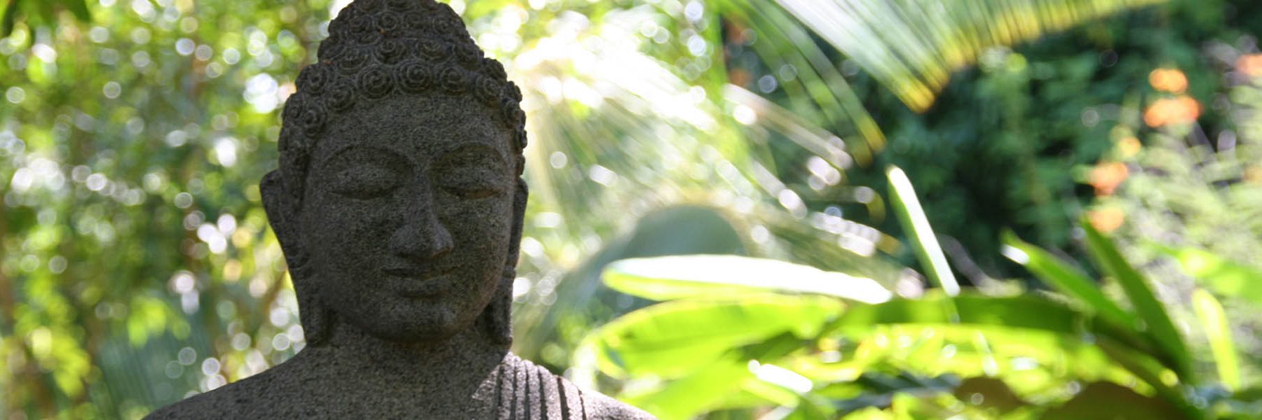 Startseiten-Slider-Buddha